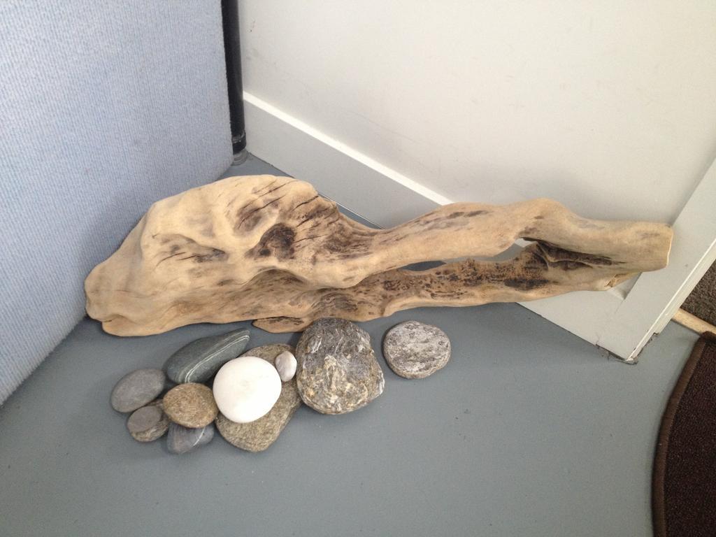 Driftwood Studio クイーンズタウン 部屋 写真